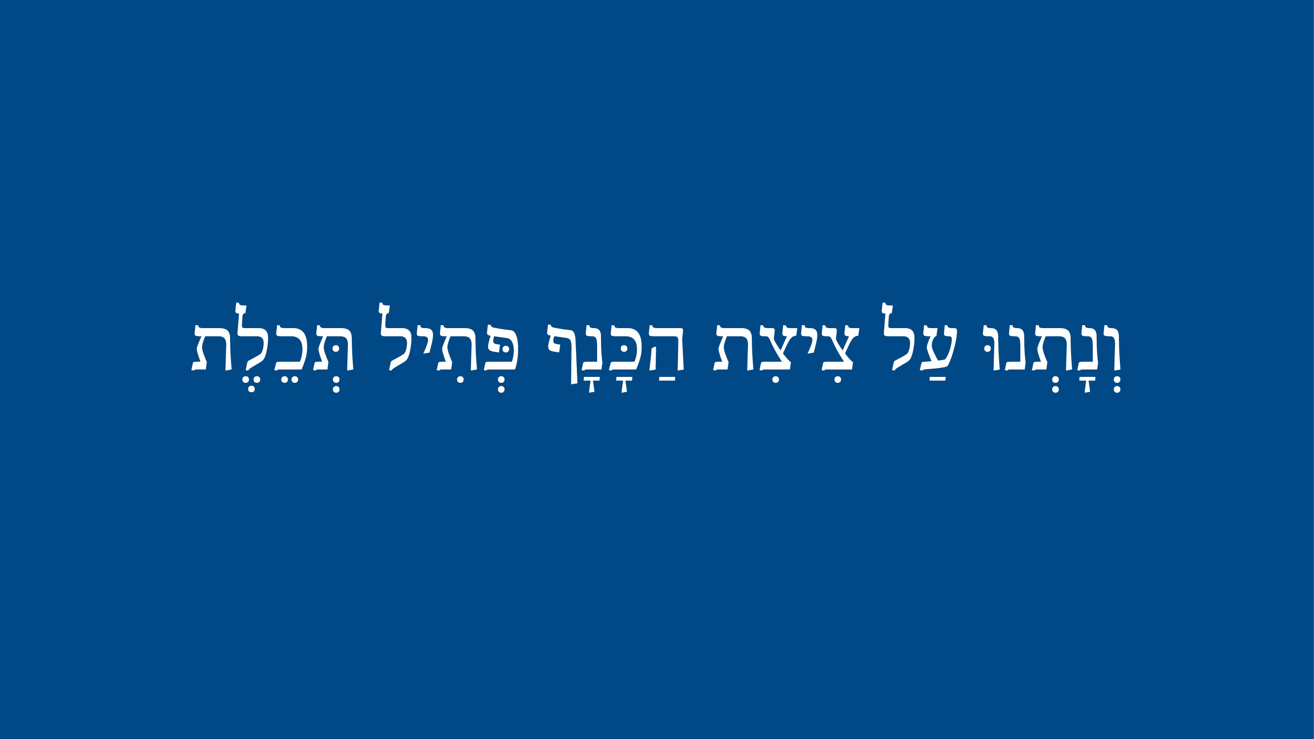 Israel Champion Jersey